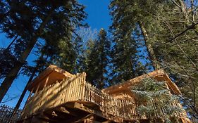 Domaine de l'Authentique Cabanes dans les arbres